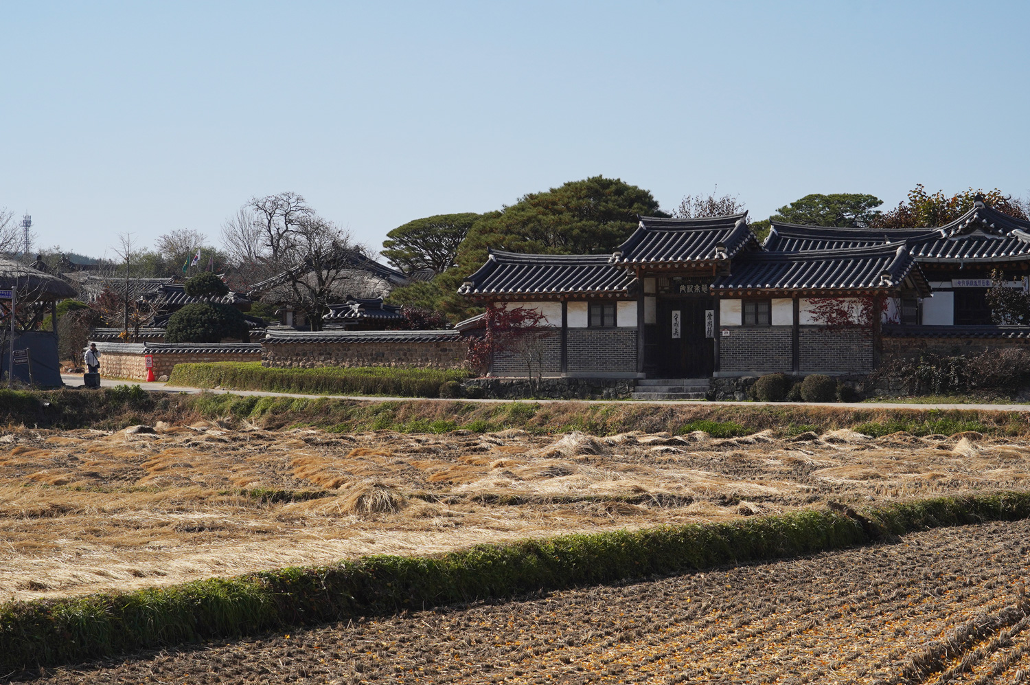 Andong en un jour : Hahoe & le temple Bongjeongsa