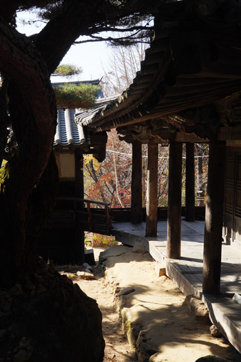 temple Bongjeongsa andong
