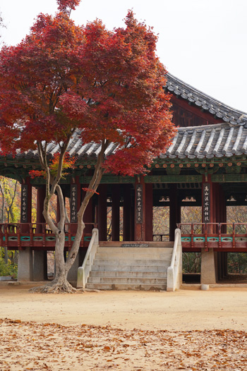 Jeonju un jour que faire
