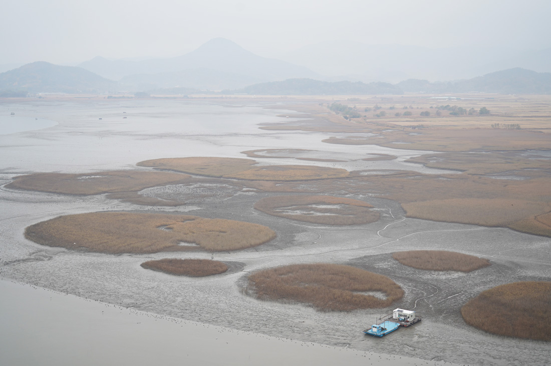 suncheon bay corée du sud