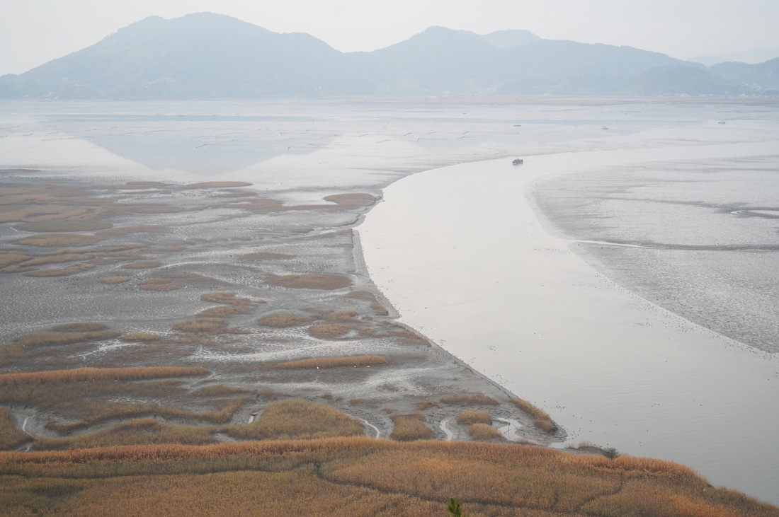 suncheon bay corée du sud