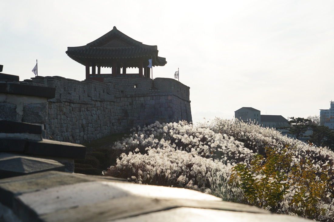 suwon forteresse hwaseong