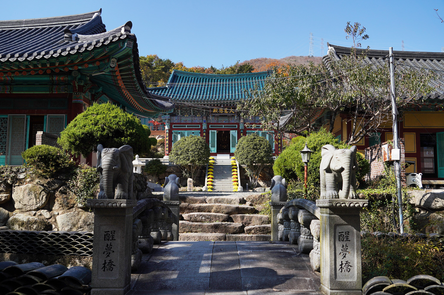 Le temple Beomeosa : le trésor caché de Busan