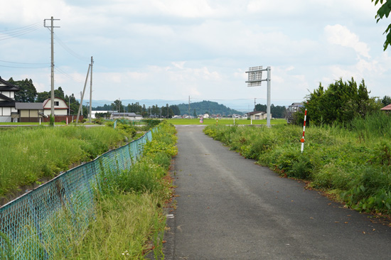 budget location voiture 1 mois Japon