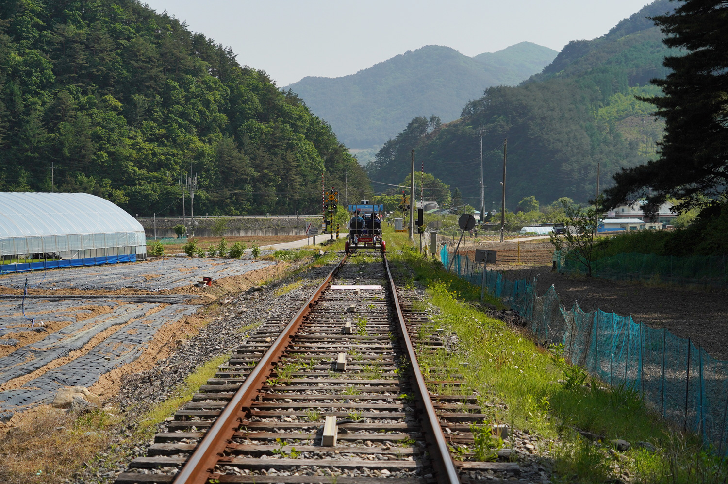 Jeongseon Rail Bike : une virée dans la campagne coréenne