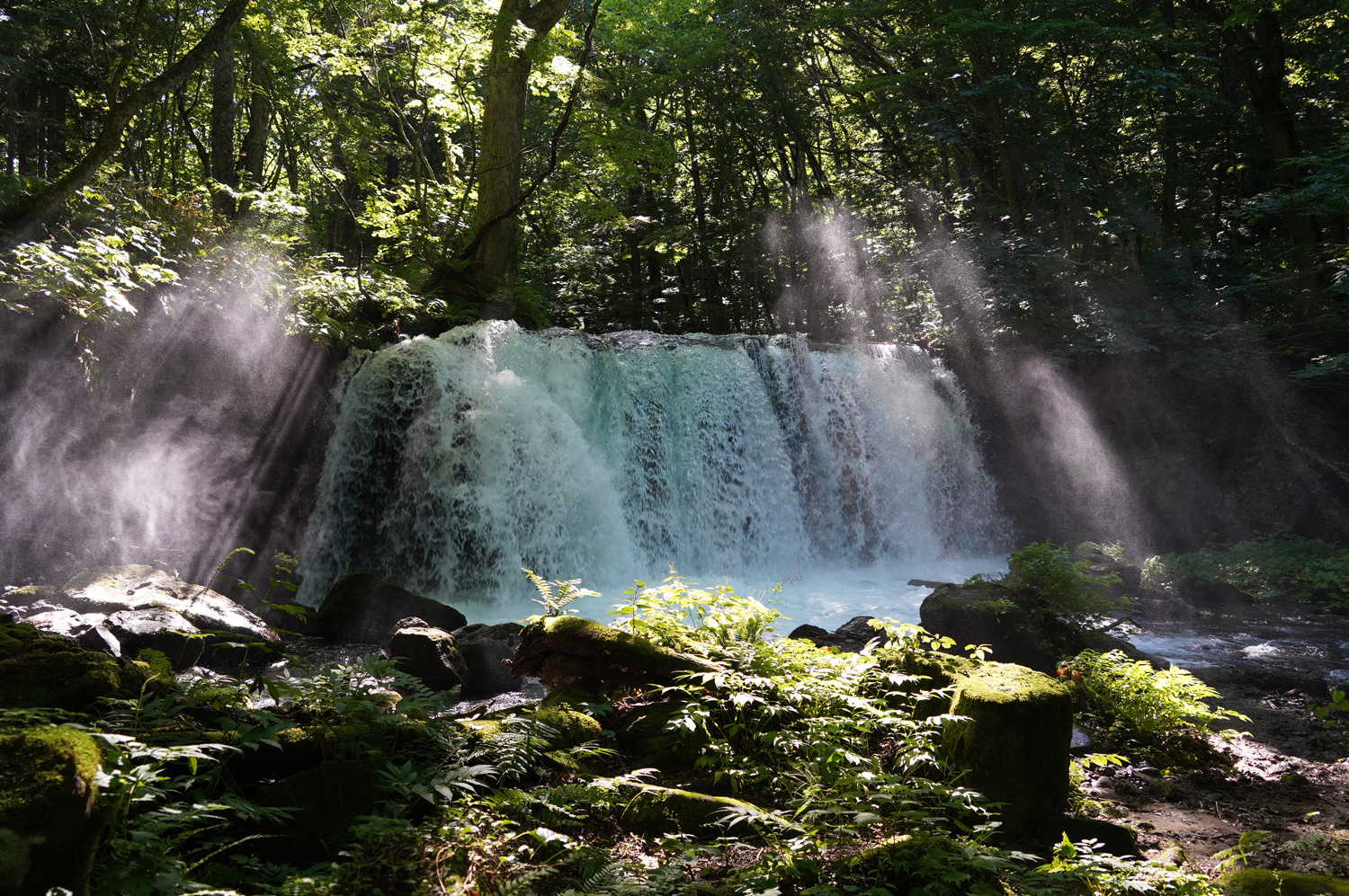 Les gorges d’Oirase : les belles cascades d’Aomori