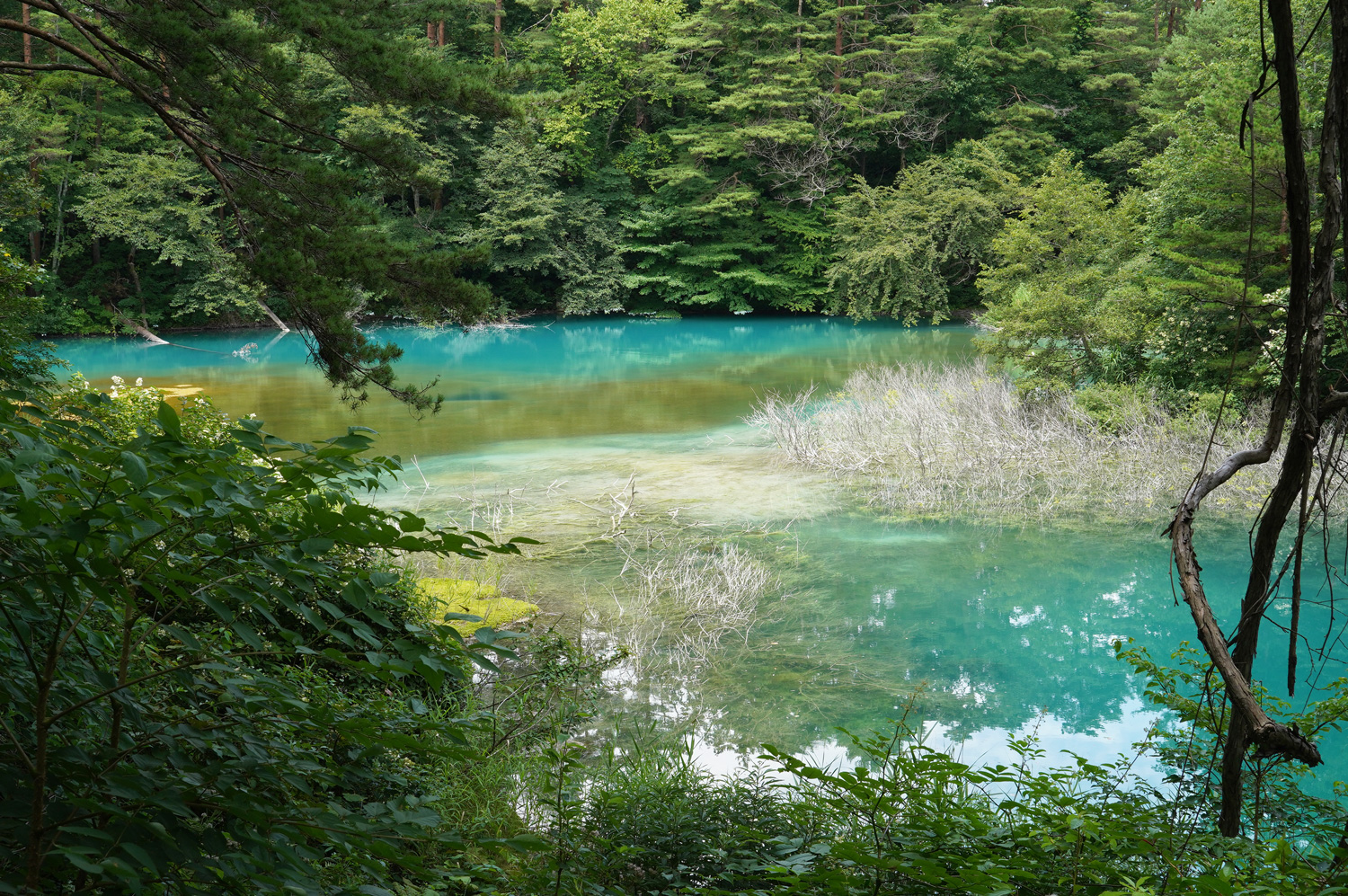 Les étangs Goshikinuma : les 5 étangs colorés de Fukushima