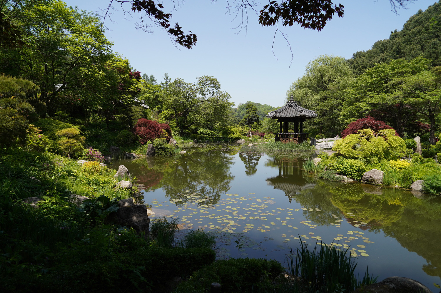 Garden of Morning Calm : un havre de paix en campagne coréenne