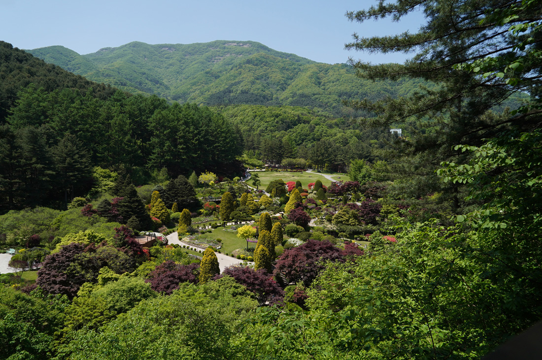 Province de Gyeonggi : la Corée du Sud aux portes de Séoul